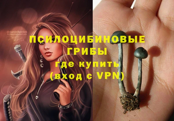 бутират Алексеевка
